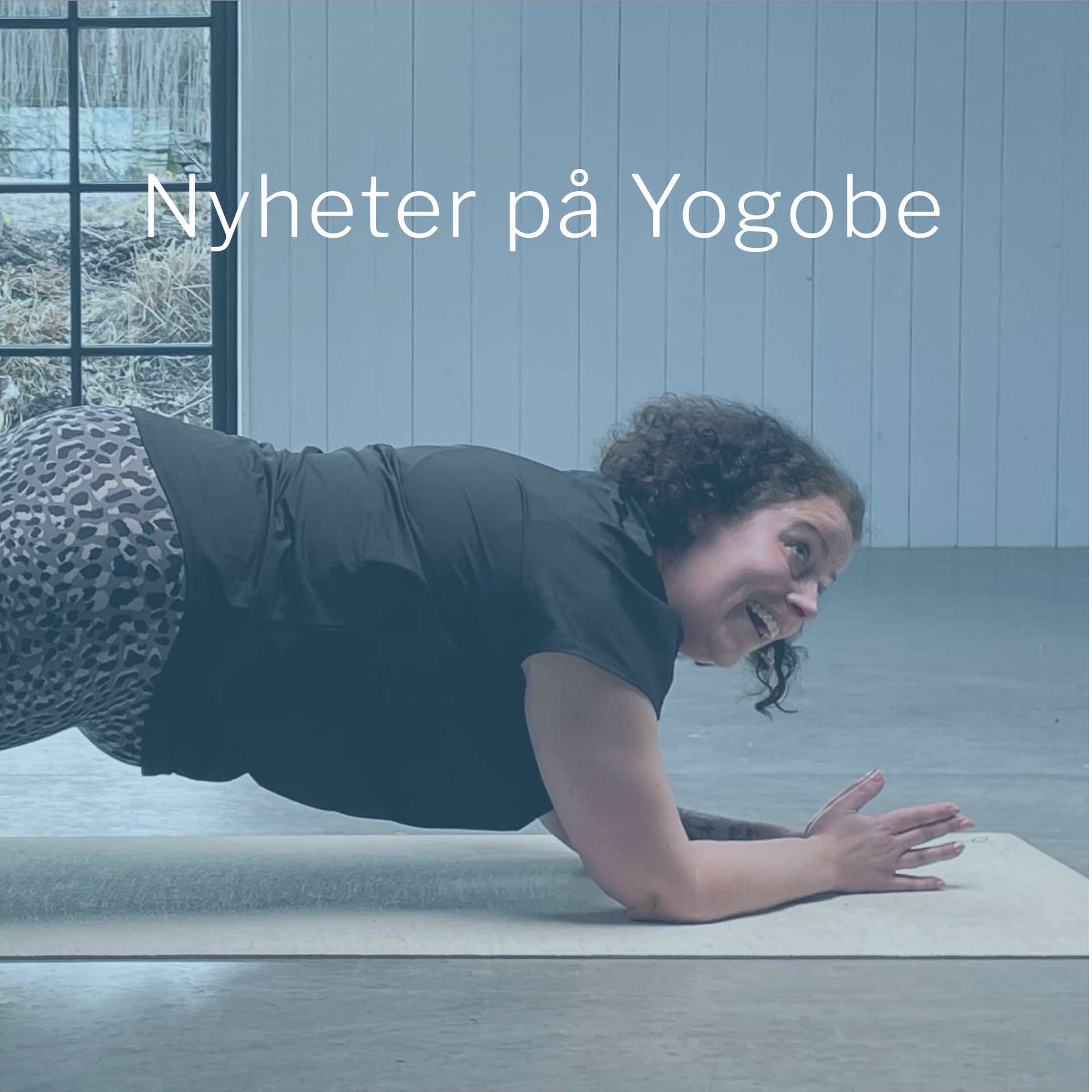 Ta del av våra senaste nyheter på Yogobe inom online yoga, träning, meditation och andning.